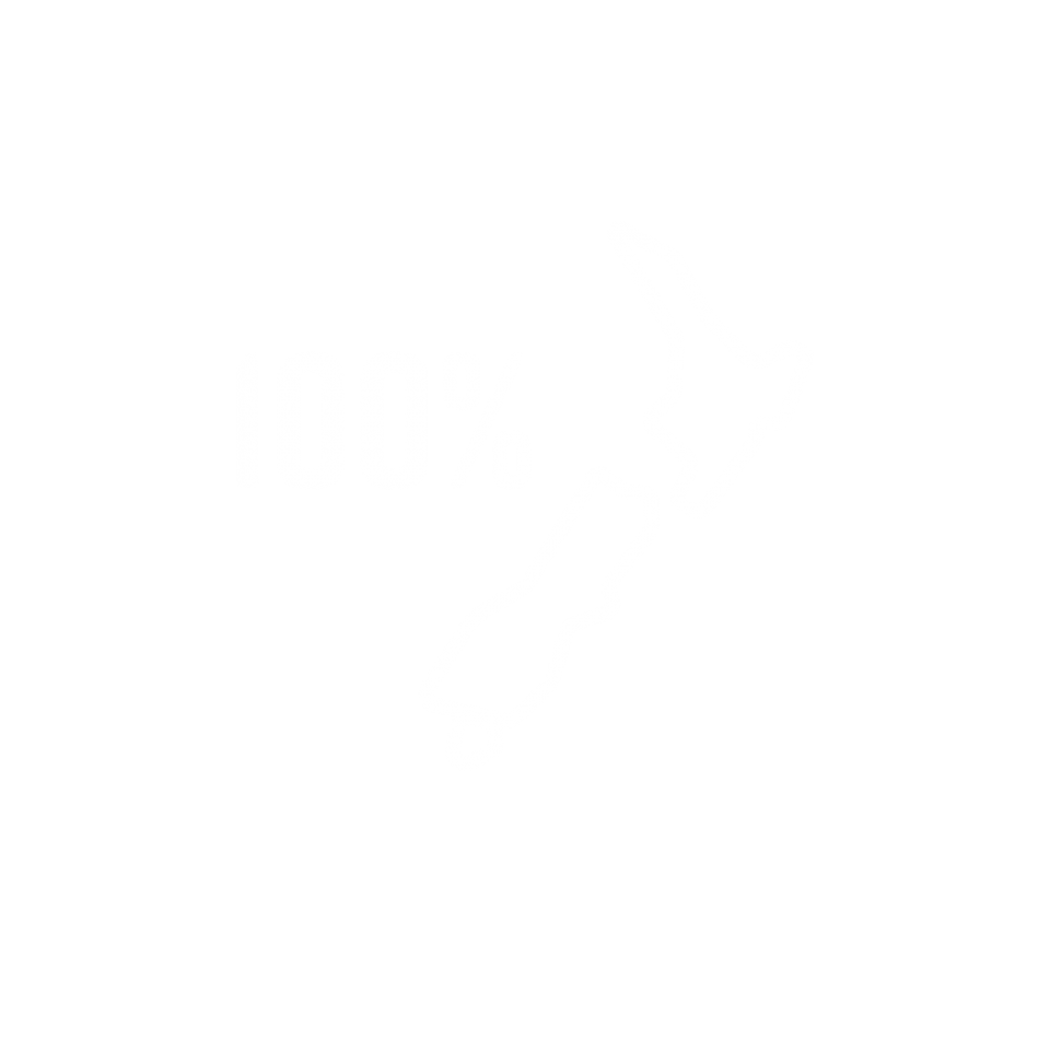 100 NZ icon 1100x1100