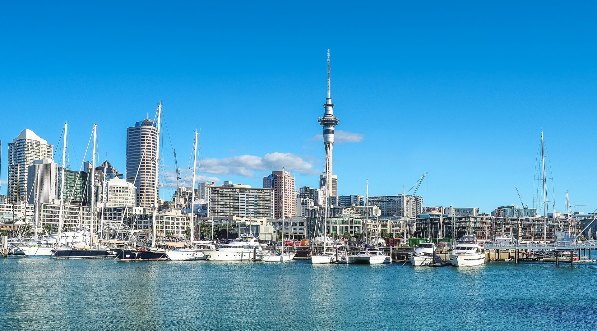 Location Auckland