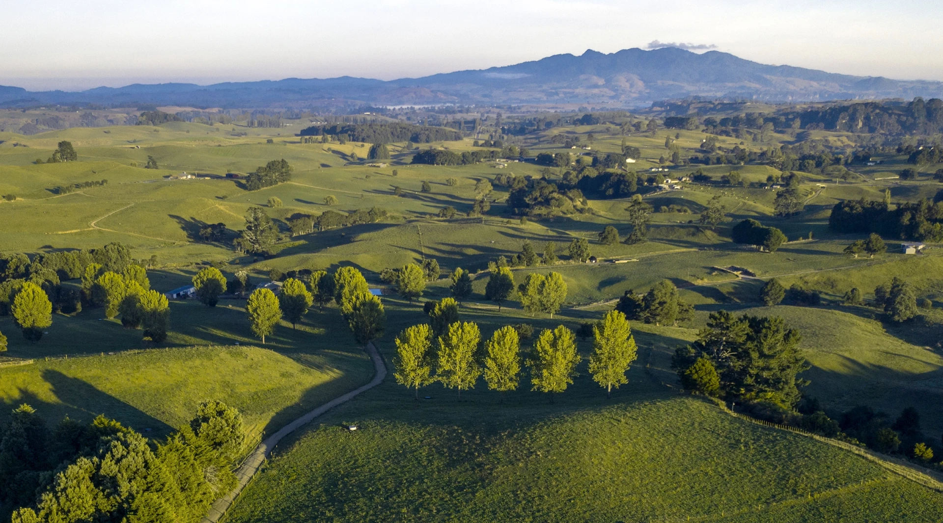 Location Mokai Dairy 1