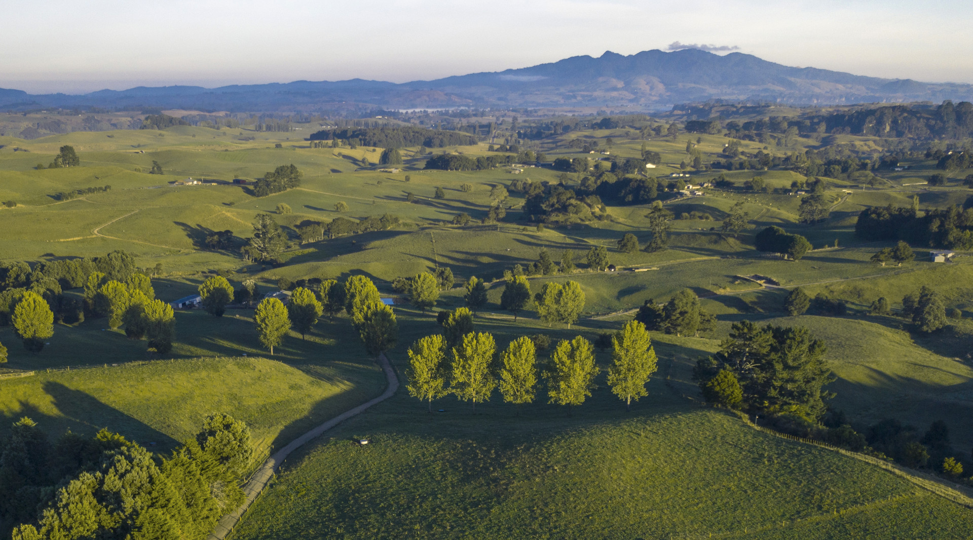 Location Mokai Dairy 1