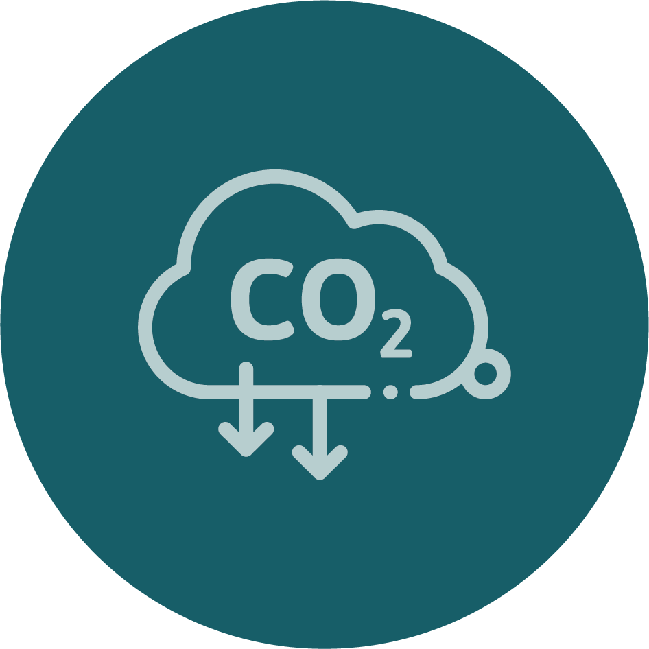 CO2 Circle Icon