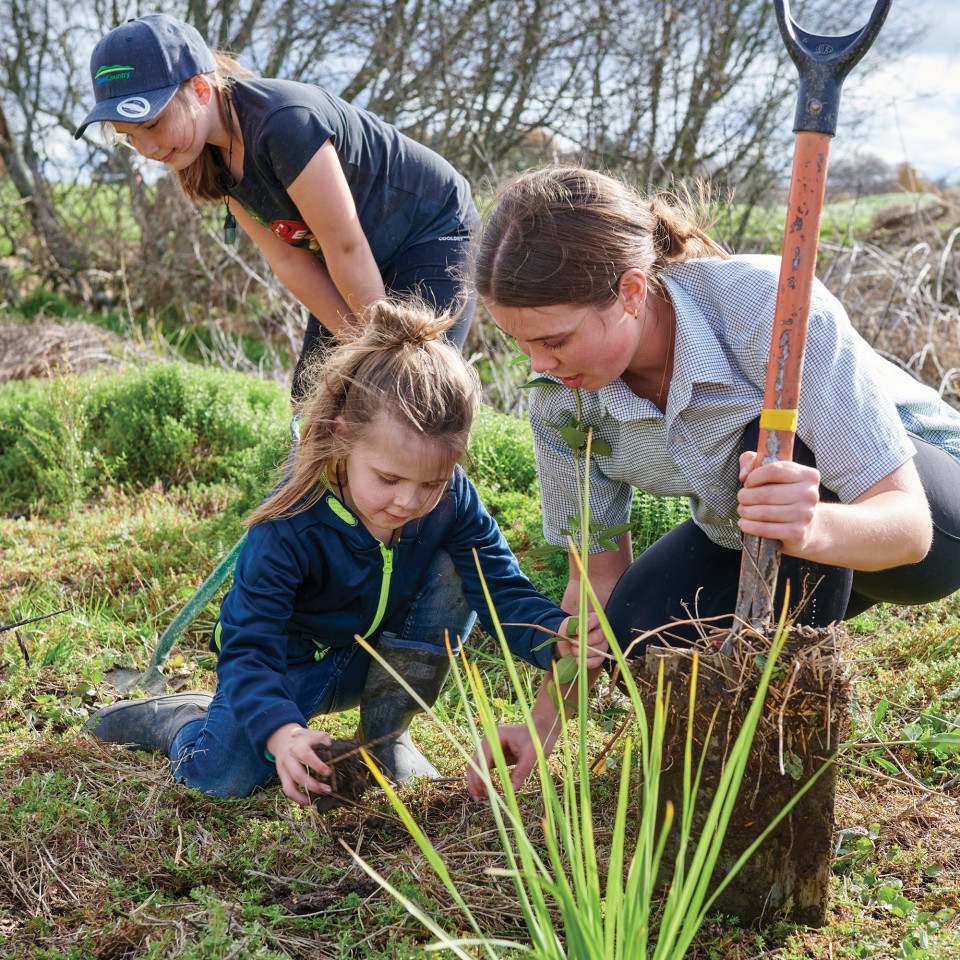 Farm Sustainability Planting 3