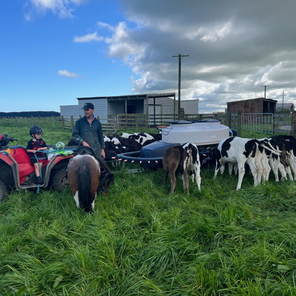 Rodger and Ruie6 feeding calves